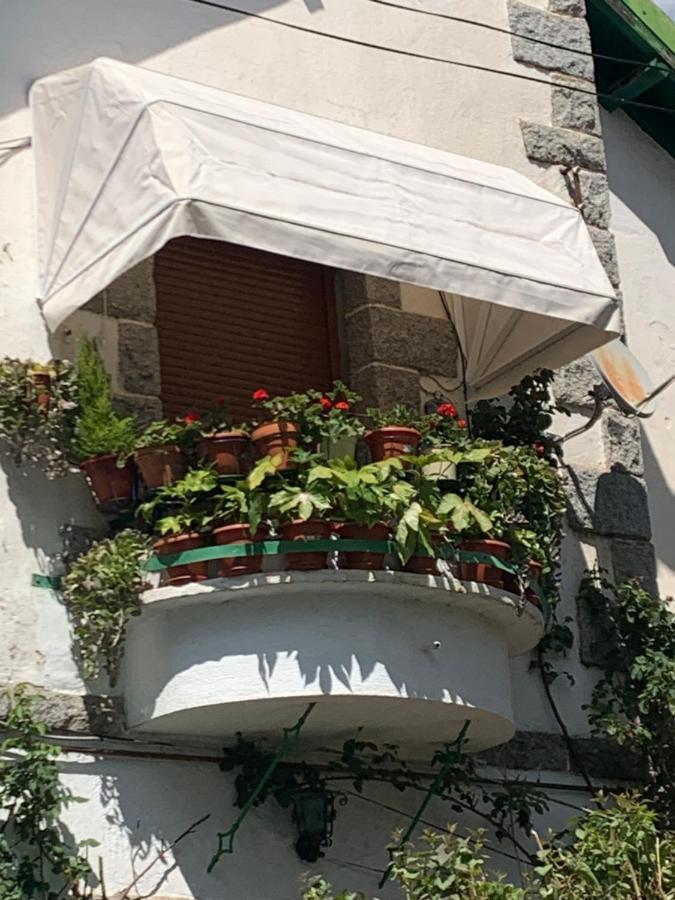 El Balcon De Araceli Lägenhet Cercedilla Exteriör bild